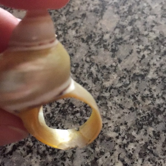 Shell ring - Picture 2 of 2
